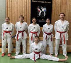 Taekwondo Baden-Württembergische Meisterschaft Birkenfeld