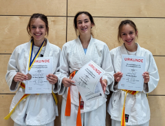 Judo württ. Einzelmeisterschaft  U15  Heubach