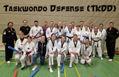 Taekwondo Defense (TKDD)