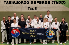 Taekwondo Defense (TKDD)