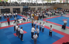 Taekwondo Deutsche Meisterschaft Poomsae