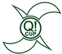 Q Cup Heidelberg